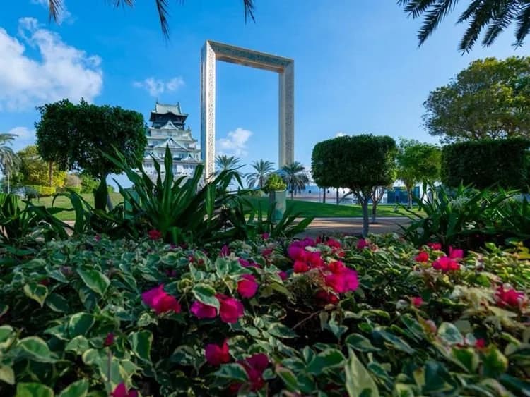 Dubai planted 500 trees per day on average in 2023